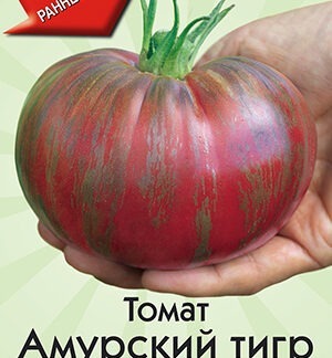 Томат Амурский тигр розовый