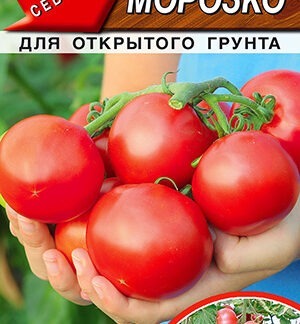 Томат Морозко