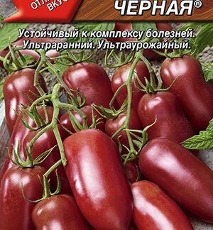 Томат Сосулька черная