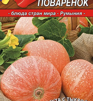 Тыква крупноплодная Поваренок