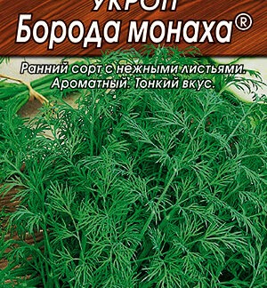 Укроп Борода монаха