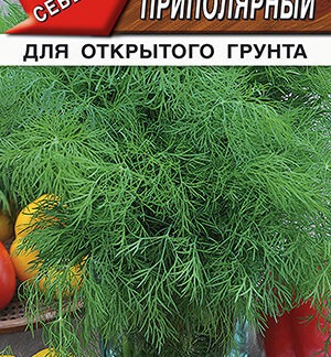 Укроп кустовой Приполярный