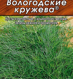 Укроп Вологодские кружева