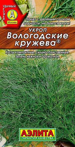 Укроп Вологодские кружева