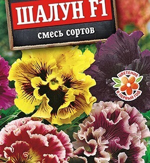 Виола Шалун F1, смесь сортов