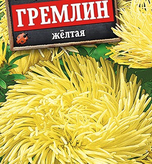 Астра Гремлин желтая