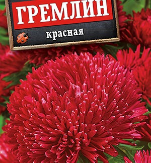 Астра Гремлин красная