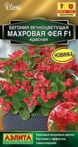 Бегония вечноцветущая махровая Фея F1 красная