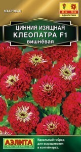 Цинния Клеопатра F1 вишневая
