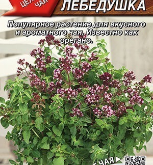 Душица обыкновенная Лебедушка