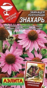 Эхинацея пурпурная Знахарь