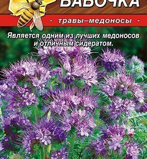 Фацелия Бабочка