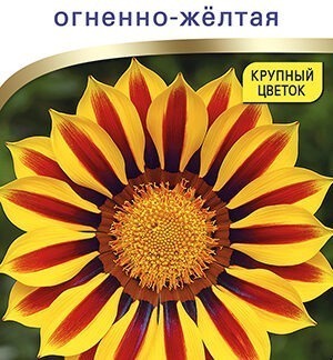 Гацания Биг кисс F1 огненно-желтая