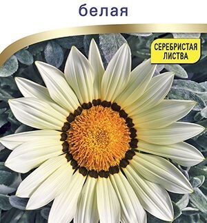 Гацания Фрости кисс F1 белая