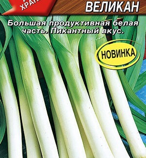 Лук порей Болгарский великан