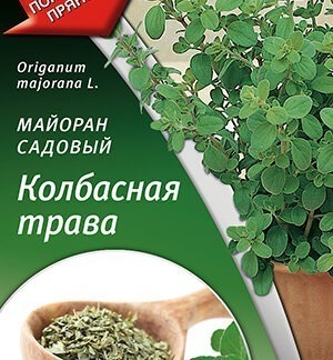 Майоран садовый Колбасная трава