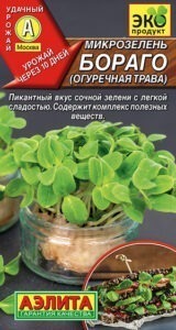 Микрозелень Бораго огуречная трава