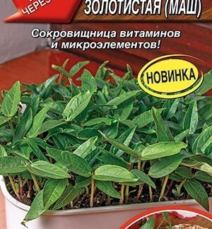 Микрозелень Фасоль золотистая (маш)