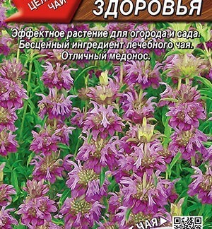 Монарда лимонная Источник здоровья