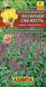 Мята мексиканская Янтарная свежесть