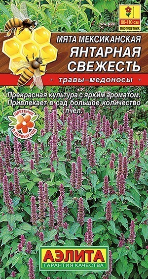 Мята мексиканская Янтарная свежесть