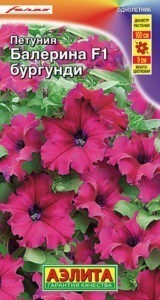 Петуния Балерина бургунди крупноцветковая F1