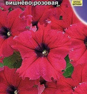 Петуния Балерина вишнево-розовая крупноцветковая F1