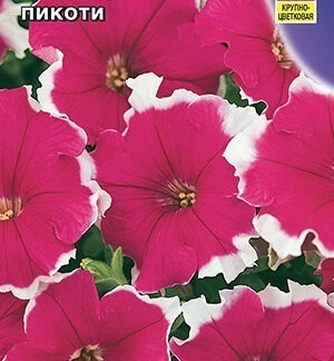 Петуния Балерина пикоти крупноцветковая F1