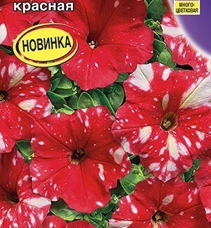 Петуния Дот Стар F1 красная