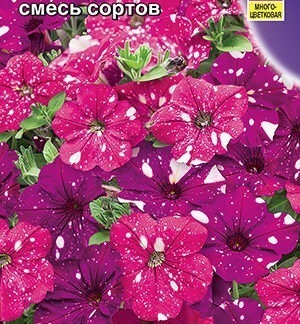 Петуния Дот Стар F1 смесь сортов