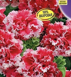 Петуния Дуэт F1 крупноцветковая  махровая