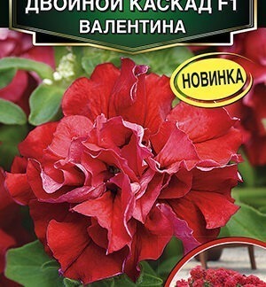 Петуния Двойной каскад F1 валентина