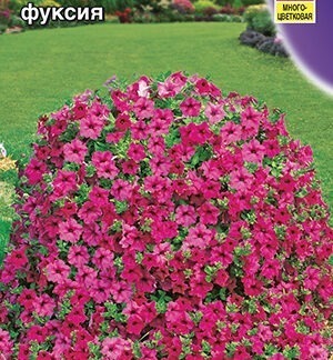 Петуния Джоконда F1фуксия