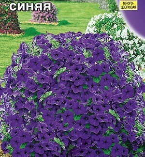 Петуния Джоконда F1 синяя