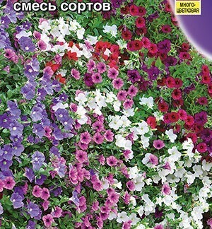 Петуния Джоконда F1 смесь сортов