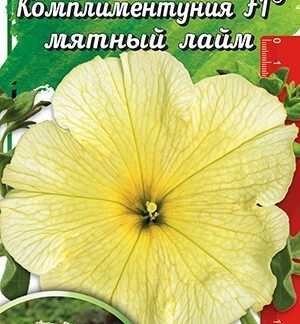 Комплиментуния мятный лайм F1 крупноцветковая