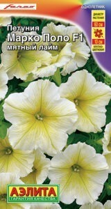 Петуния Марко Поло F1 мятный лайм