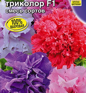 Петуния Праздничный триколор F1 крупноцветковая махровая, смесь окрасок