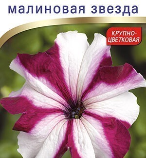 Петуния Тритуния F1 малиновая звезда