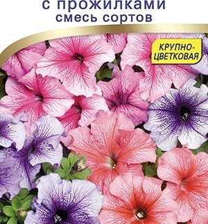 Петуния Тритуния F1 с прожилками, смесь сортов