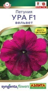 Петуния Ура F1 Вельвет
