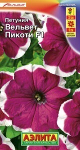 Петуния Вельвет пикоти F1 крупноцветковая