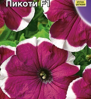 Петуния Вельвет пикоти F1 крупноцветковая