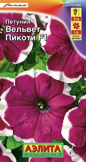 Петуния Вельвет пикоти F1 крупноцветковая