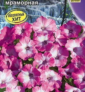 Петуния ВОДОПАДИЯ F1 мраморная