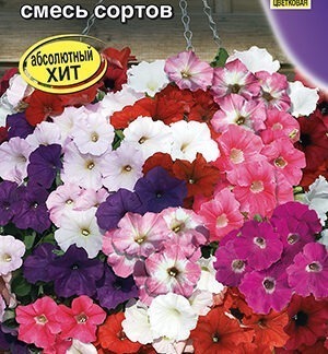 Петуния ВОДОПАДИЯ F1 смесь сортов