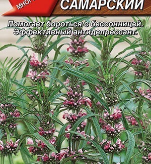 Пустырник сердечный Самарский