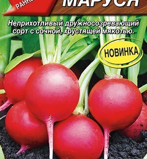 Редис Маруся