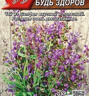 Шалфей лекарственный Будь здоров
