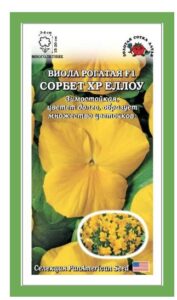 Виола Сорбет Еллоу